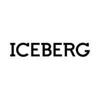 Iceberg internetist