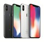 Mobiiltelefon Apple iPhone X 256GB, Hõbedane hind ja info | Telefonid | kaup24.ee