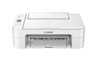 Canon PIXMA TS3151 MFP Wi-Fi Printer / Scanner / Copier inkjet color цена и информация | Printerid | kaup24.ee