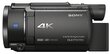 Videokaamera Sony FDR-AX53 hind ja info | Videokaamerad | kaup24.ee