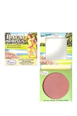 Румяна Balm Springs theBalm цена и информация | Бронзеры (бронзаторы), румяна | kaup24.ee