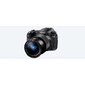 Fotoaparaat Sony Cyber-Shot DSC-RX10 IV hind ja info | Fotoaparaadid | kaup24.ee