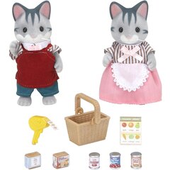 Kassid Sylvanian Families 2813 poeomanikud hind ja info | Tüdrukute mänguasjad | kaup24.ee