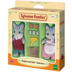 Котики и магазин Sylvanian Families 2813 цена и информация | Игрушки для девочек | kaup24.ee