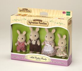 Семейство кроликов Sylvanian Families цена и информация | MUST Металлическая бутылочка с Ярким рисунком (без BPA) (500ml) для мальчиков от 3+ лет Серая с Машинкой | kaup24.ee