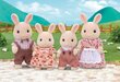 Laste mängujäneste perekond Sylvanian Families цена и информация | Tüdrukute mänguasjad | kaup24.ee