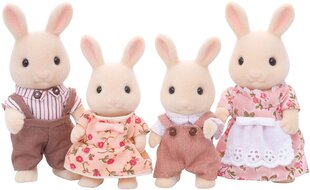 Семейство кроликов Sylvanian Families цена и информация | MUST Металлическая бутылочка с Ярким рисунком (без BPA) (500ml) для мальчиков от 3+ лет Серая с Машинкой | kaup24.ee