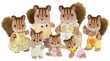 Pähkliorava pere Sylvanian Families hind ja info | Tüdrukute mänguasjad | kaup24.ee