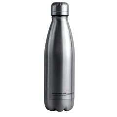 Термо бутылка Asobu Central Park Travel, 510 мл, серебристая цена и информация | Термосы, термокружки | kaup24.ee