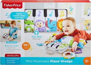 Fisher-Price® pehme miniklaver GJD27 hind ja info | Imikute mänguasjad | kaup24.ee