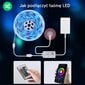 LED Smart RIBA NOUS F1 RGB komplekt WiFi 12V 5m 5050led + pult 24key + adapter 12V 2A (Alexa, Google) цена и информация | LED ribad | kaup24.ee