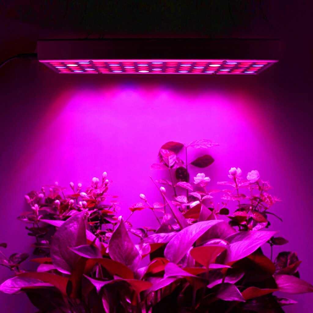 LED taimekasvatuspaneel 225 dioodid 36W hind ja info | Nutipotid ja taimelambid | kaup24.ee