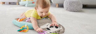 Музыкальная подушка «Ленивец» Fisher Price цена и информация | Игрушки для малышей | kaup24.ee