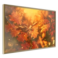 Poster - Golden Autumn hind ja info | Seinapildid | kaup24.ee