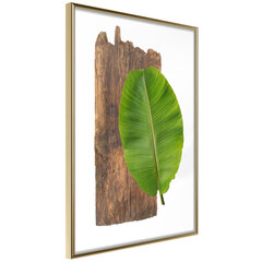 Poster - Forest Nature hind ja info | Seinapildid | kaup24.ee