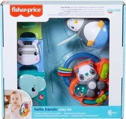 Fisher-Price® mängukomplekt 6+ kuud HFJ93 hind ja info | Imikute mänguasjad | kaup24.ee