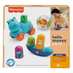 Fisher-Price® игровой комплект для возраста 9+ месяцев HFJ94 цена и информация | Игрушки для малышей | kaup24.ee