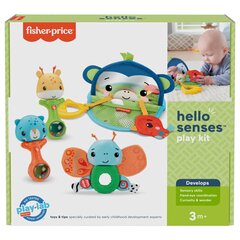 Fisher-Price® mängukomplekt 3+ kuud HFJ92 цена и информация | Игрушки для малышей | kaup24.ee