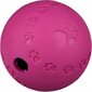 Pall Trixie Snack Ball labürint, 9 cm hind ja info | Mänguasjad koertele | kaup24.ee