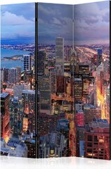 Ruumijaotur - Illuminated Chicago [Room Dividers] hind ja info | Sirmid ja vaheseinad | kaup24.ee