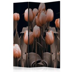 Ruumijaotur - Ladies among the flowers [Room Dividers] hind ja info | Sirmid ja vaheseinad | kaup24.ee