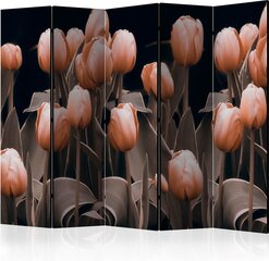 Ruumijaotur - Ladies among the flowers II [Room Dividers] hind ja info | Sirmid ja vaheseinad | kaup24.ee