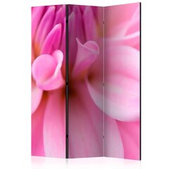 Ruumijaotur - Flower petals - dahlia [Room Dividers] hind ja info | Sirmid ja vaheseinad | kaup24.ee