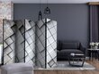 Ruumijaotur - Gray background 3D II [Room Dividers] цена и информация | Sirmid ja vaheseinad | kaup24.ee