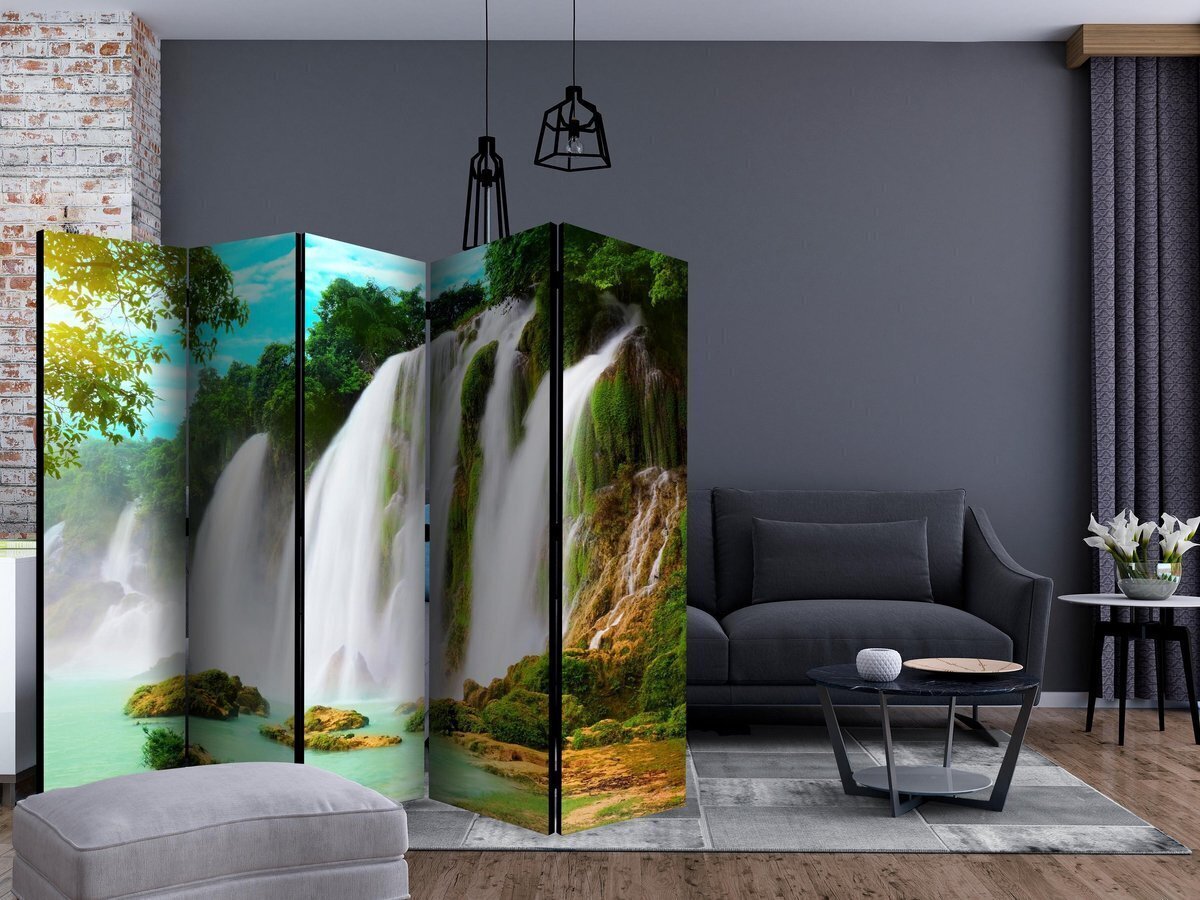 Ruumijaotur - Detian - waterfall (China) II [Room Dividers] цена и информация | Sirmid ja vaheseinad | kaup24.ee