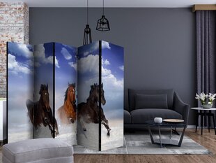 Ruumijaotur - Horses in the Snow II [Room Dividers] hind ja info | Sirmid ja vaheseinad | kaup24.ee