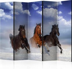 Ruumijaotur - Horses in the Snow II [Room Dividers] hind ja info | Sirmid ja vaheseinad | kaup24.ee