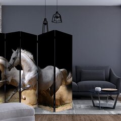 Ruumijaotur - Galloping horses on the sand II [Room Dividers] hind ja info | Sirmid ja vaheseinad | kaup24.ee