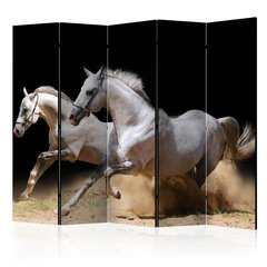 Ruumijaotur - Galloping horses on the sand II [Room Dividers] hind ja info | Sirmid ja vaheseinad | kaup24.ee