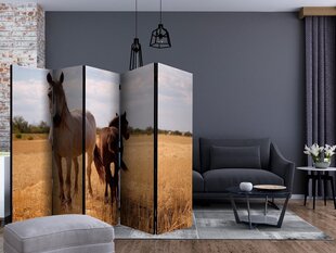 Ruumijaotur - Horse and foal II [Room Dividers] hind ja info | Sirmid ja vaheseinad | kaup24.ee
