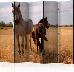Ruumijaotur - Horse and foal II [Room Dividers] hind ja info | Sirmid ja vaheseinad | kaup24.ee