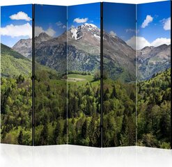 Ruumijaotur - Holiday in the mountains II [Room Dividers] цена и информация | Мобильные стенки | kaup24.ee