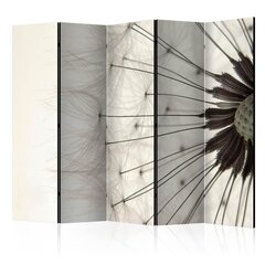 Ruumijaotur - Dandelion seed head II [Room Dividers] hind ja info | Sirmid ja vaheseinad | kaup24.ee