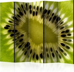 Ruumijaotur - fruits: kiwi II [Room Dividers] hind ja info | Sirmid ja vaheseinad | kaup24.ee