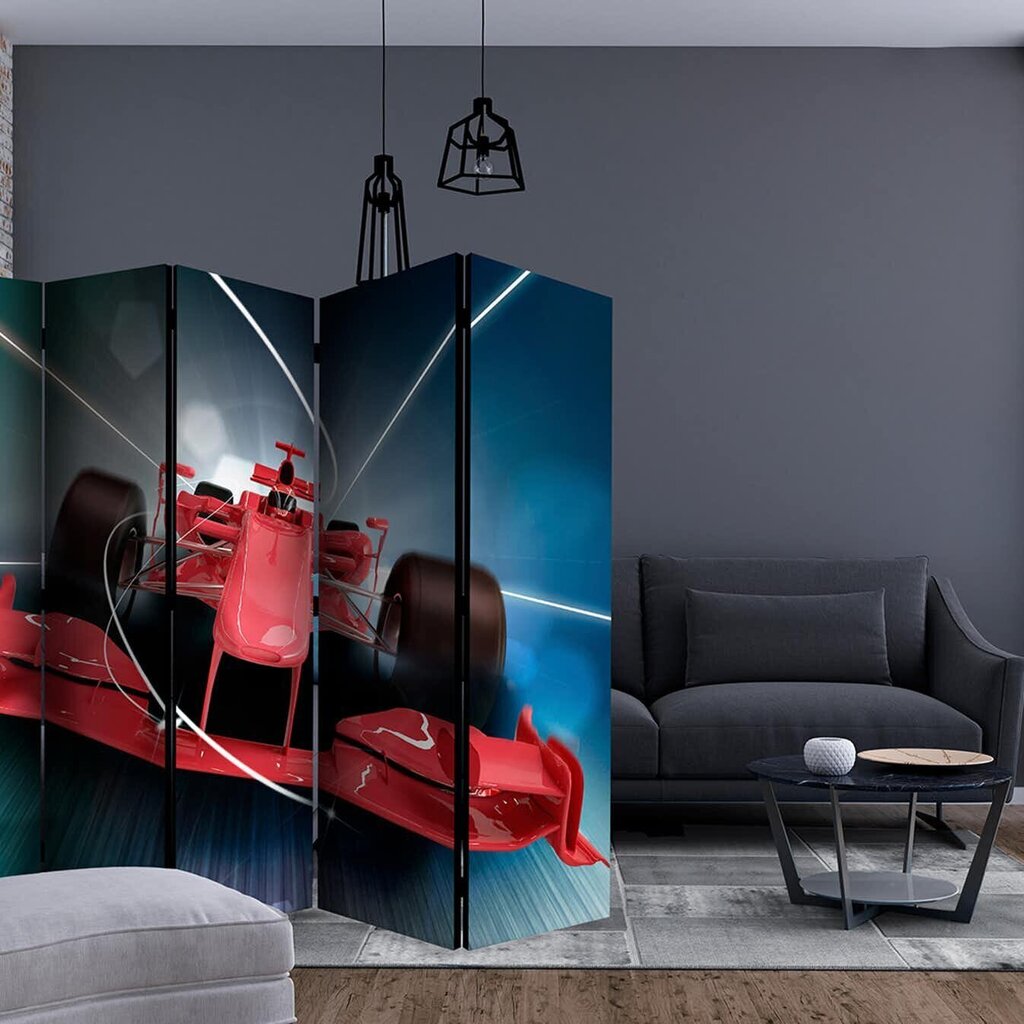 Ruumijaotur - Formula 1 car II [Room Dividers] hind ja info | Sirmid ja vaheseinad | kaup24.ee