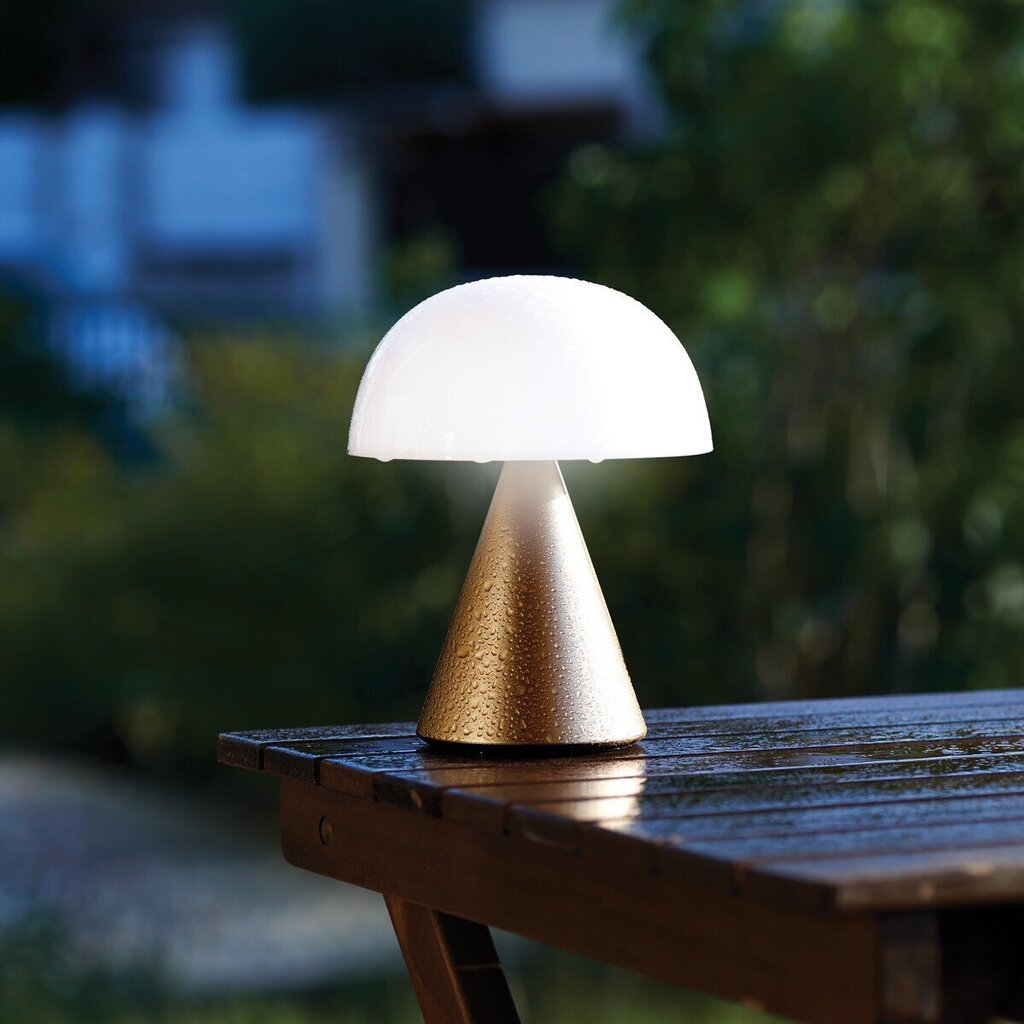 lexon LH65MD Mina L lamp (kuldne) цена и информация | Laualambid | kaup24.ee