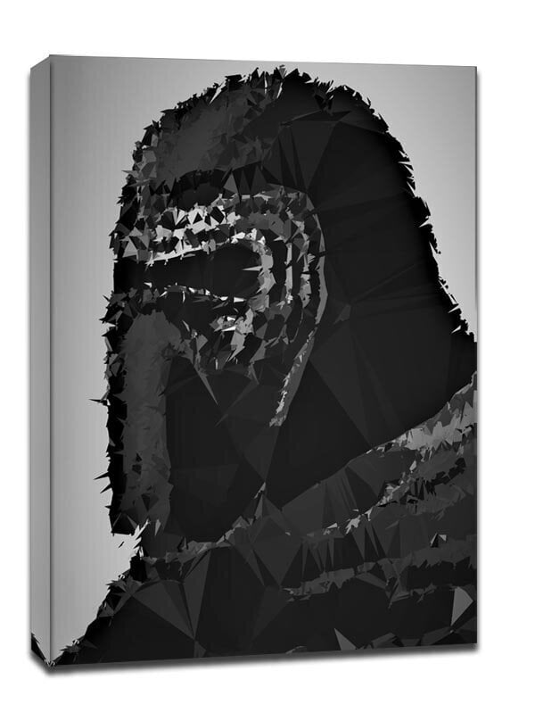 POLYamory – Kylo Ren, Star Wars Star Wars – lõuendimaal 40x50 cm цена и информация | Seinapildid | kaup24.ee