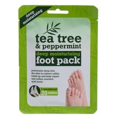 Xpel Tea Tree Tea Tree & Peppermint Deep Moisturising Foot Pack jalakreem 1 hind ja info | Kehakreemid, losjoonid | kaup24.ee