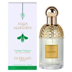 Guerlain Aqua Allegoria Herba Fresca EDT naistele, 75 ml цена и информация | Женские духи | kaup24.ee