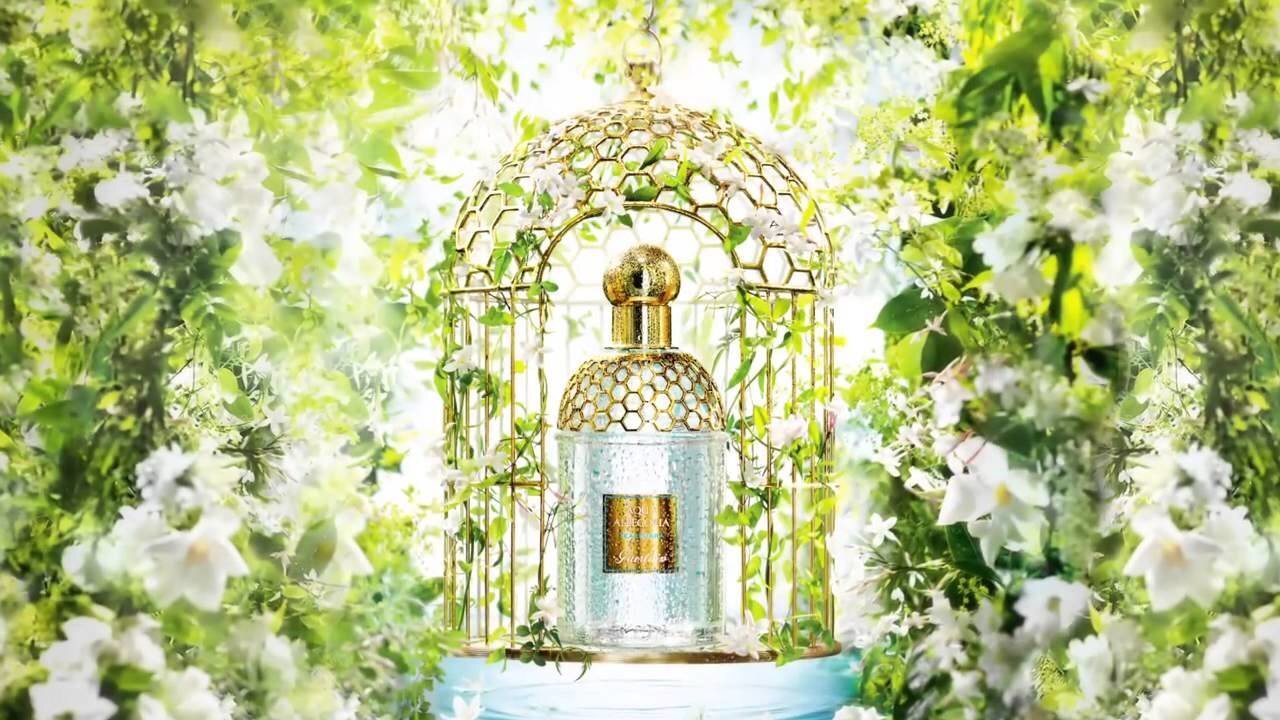 Guerlain Aqua Allegoria Herba Fresca EDT naistele, 75 ml hind ja info | Naiste parfüümid | kaup24.ee