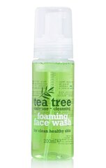 Puhastav näovaht Xpel Tea Tree 200 ml hind ja info | Näopuhastusvahendid | kaup24.ee