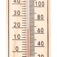 Termomeeter цена и информация | Метеорологические станции, термометры | kaup24.ee