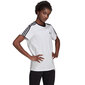 Naiste T-särk Adidas Essentials 3 Stripes Tee W H10201, valge цена и информация | Naiste T-särgid | kaup24.ee