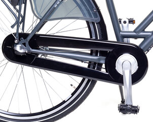 Женский велосипед AMIGO Bright 28" 53 см, матовый антрацит цена и информация | Велосипеды | kaup24.ee