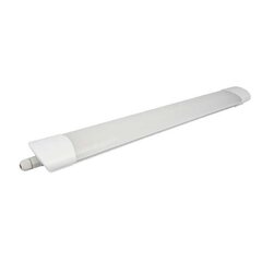 LED valgusti 125 cm 36 W IP65 4000K/3600lm цена и информация | Потолочные светильники | kaup24.ee