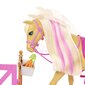 Barbie® hobuste hoolduskomplekt GXV77 цена и информация | Tüdrukute mänguasjad | kaup24.ee